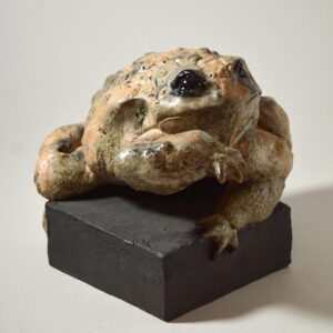 Crapaud #24-14
