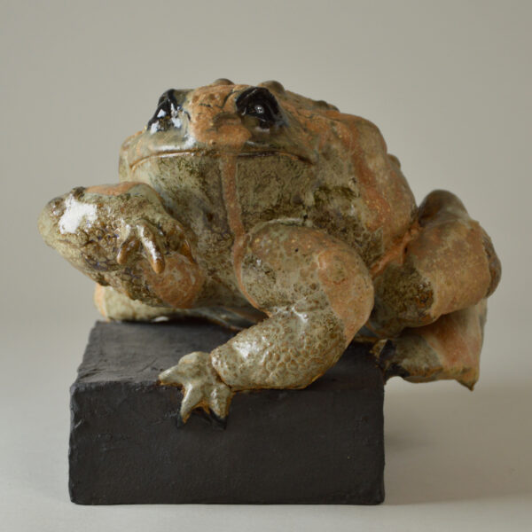 Crapaud #24-14