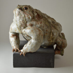 Crapaud #24-13