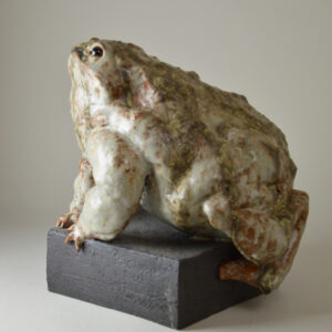 Crapaud #24-13