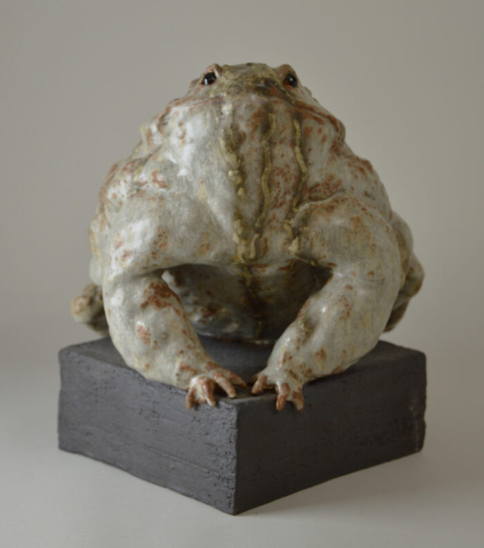 Crapaud #24-13 – Image 5
