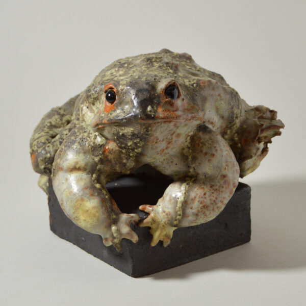 Crapaud #24-15