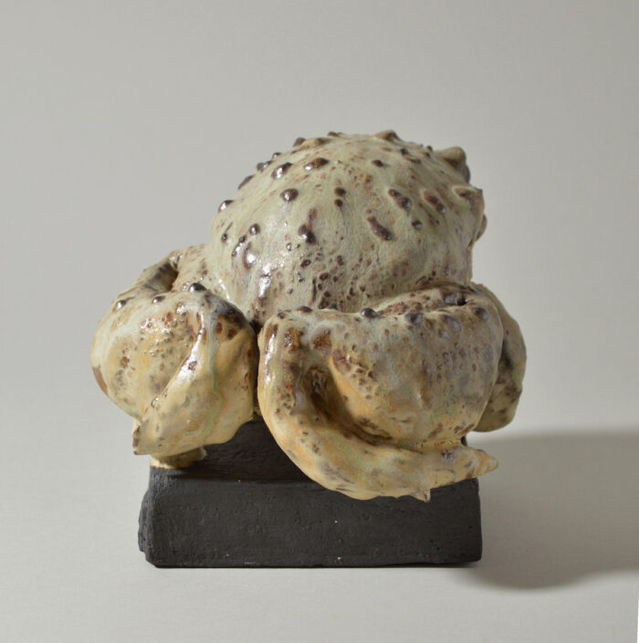Crapaud #24-18 – Image 5
