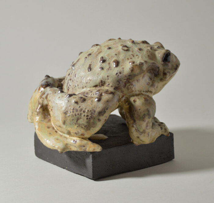 Crapaud #24-18 – Image 4