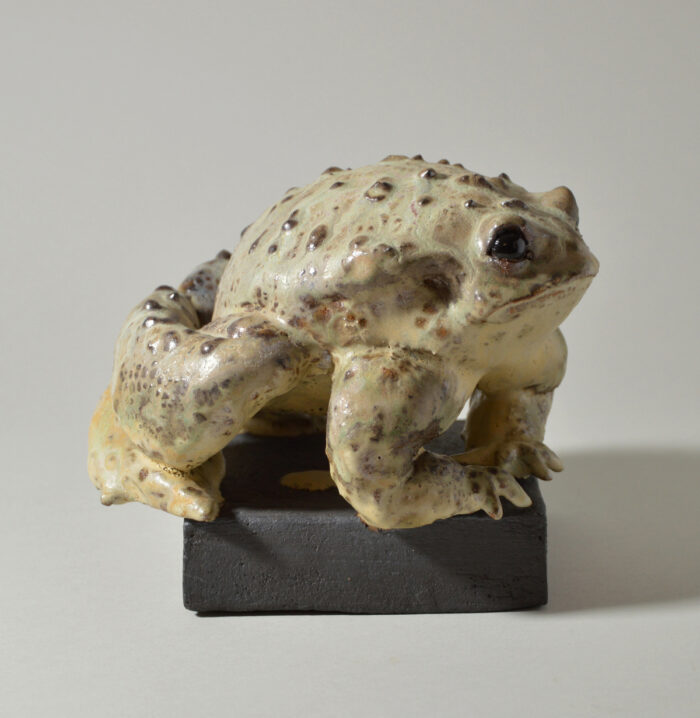Crapaud #24-18 – Image 3