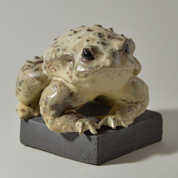 Crapaud #24-18