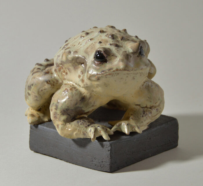 Crapaud #24-18