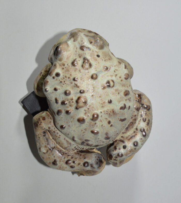 Crapaud #24-18 – Image 10