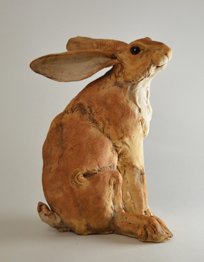 Lièvre #25-1 – Image 3
