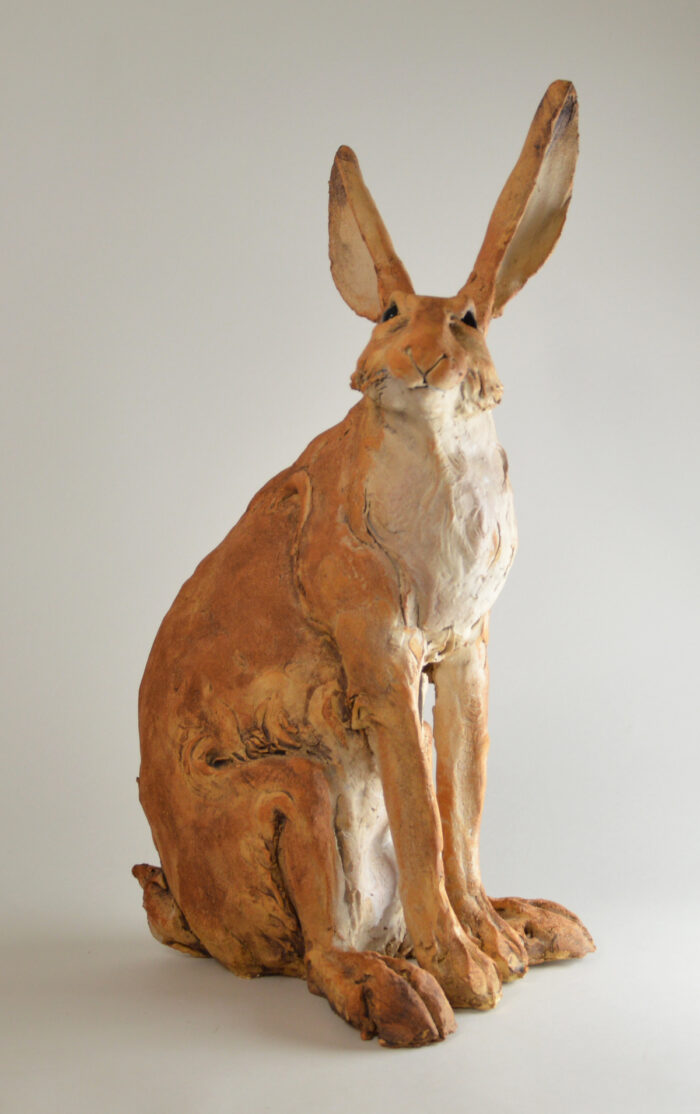 Lièvre #25-2 – Image 2