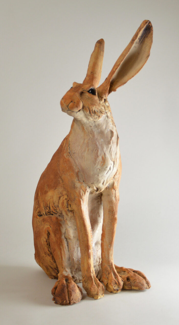 Lièvre #25-2 – Image 4