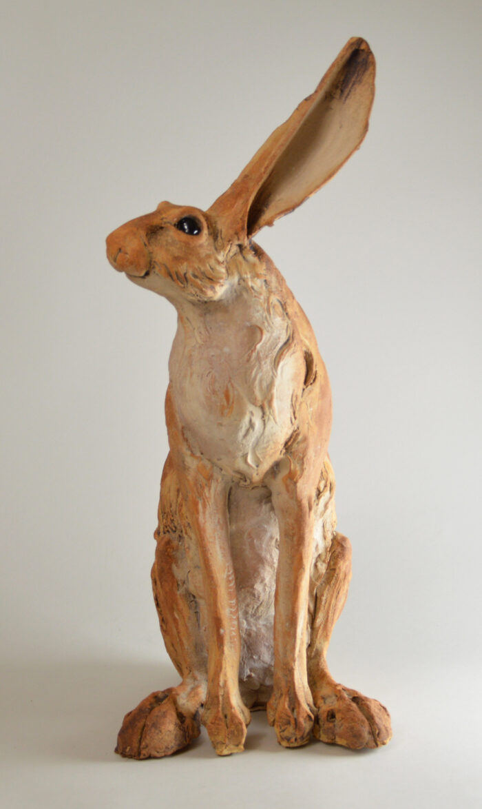 Lièvre #25-2 – Image 5