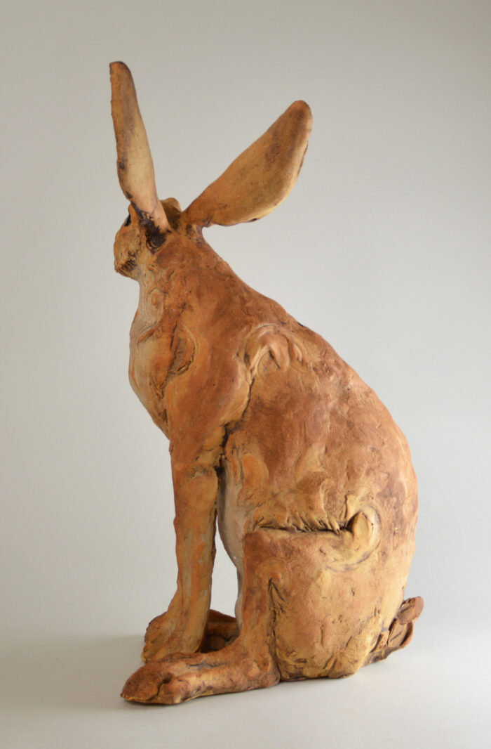 Lièvre #25-2 – Image 7