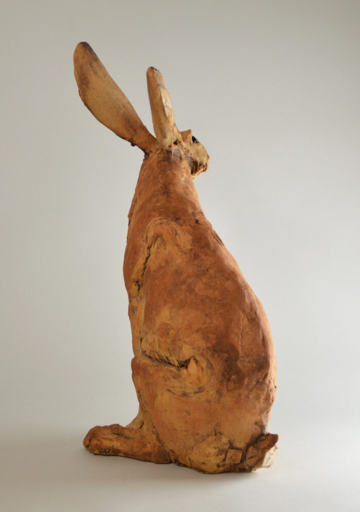 Lièvre #25-2 – Image 8