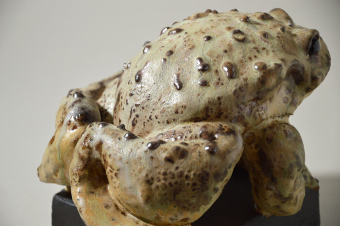 Crapaud #24-18 – Image 9