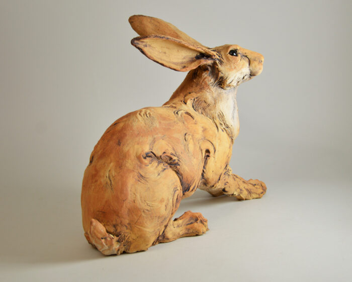 Lièvre #25-4 – Image 6