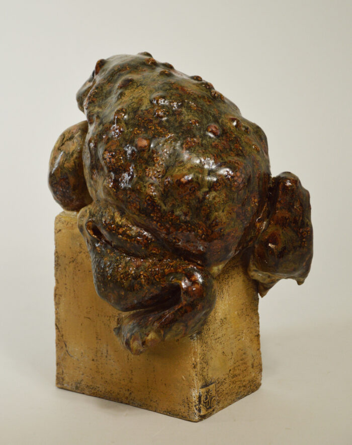 Crapaud #24-23 – Image 4