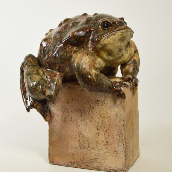 Crapaud #24-23