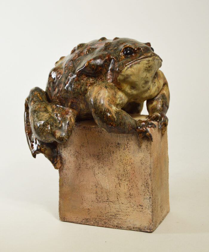 Crapaud #24-23