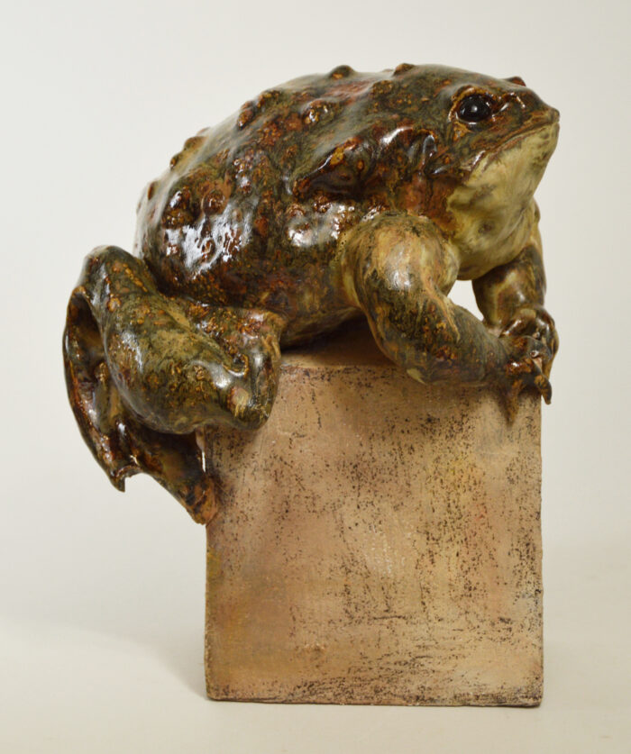 Crapaud #24-23 – Image 5