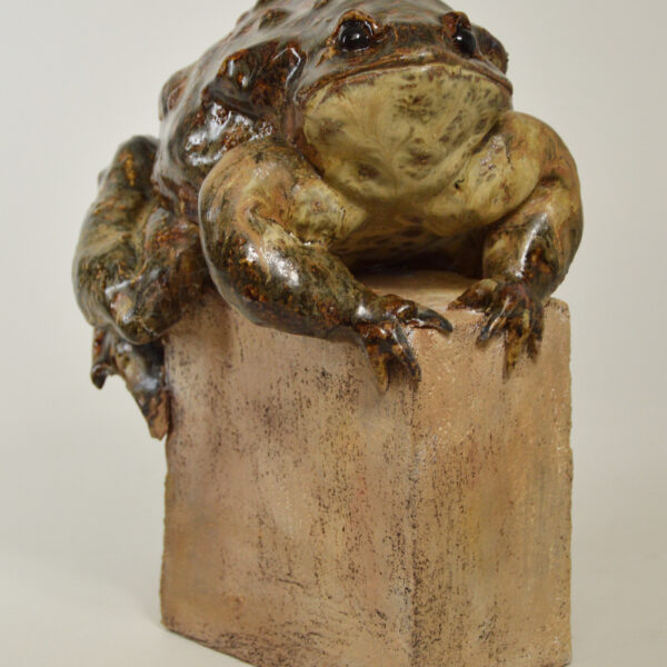Crapaud #24-23