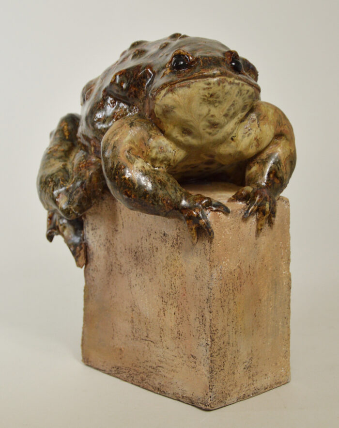 Crapaud #24-23 – Image 2