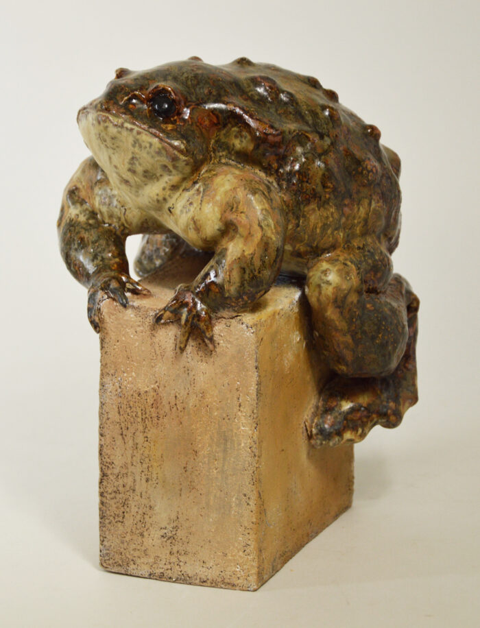 Crapaud #24-23 – Image 3