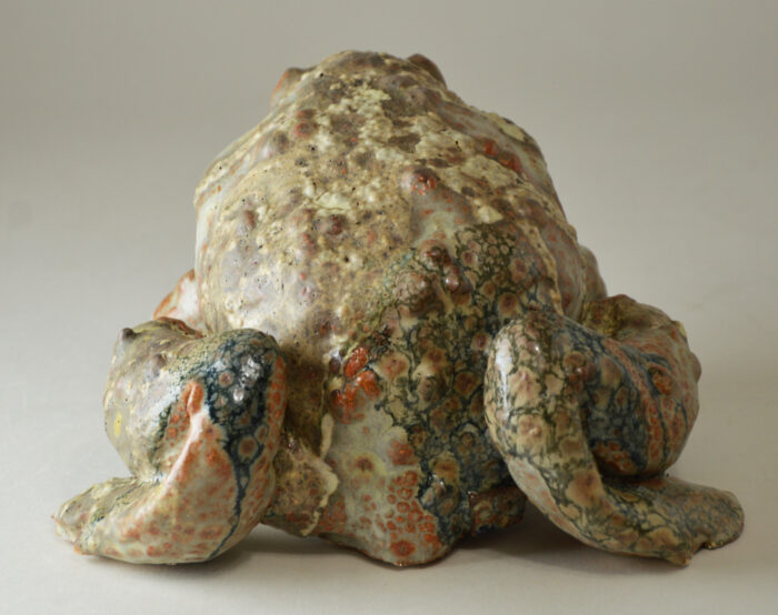 Crapaud #25-1 – Image 4