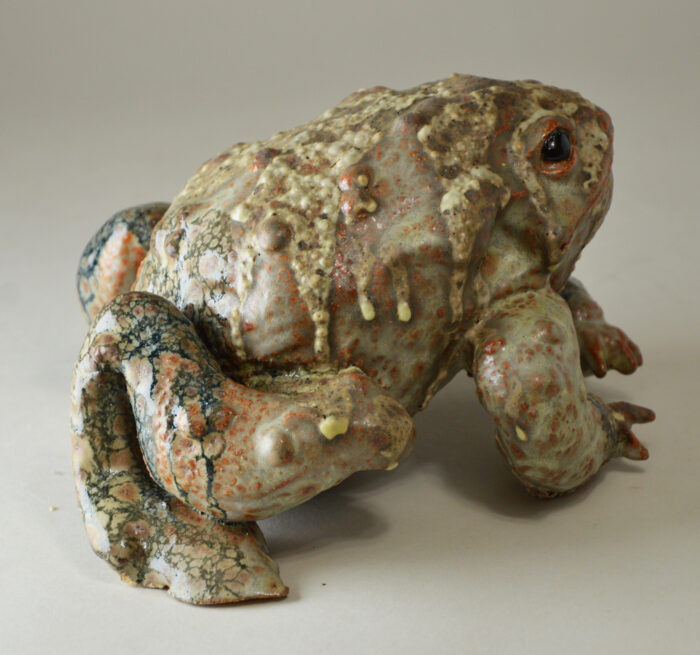 Crapaud #25-1 – Image 5