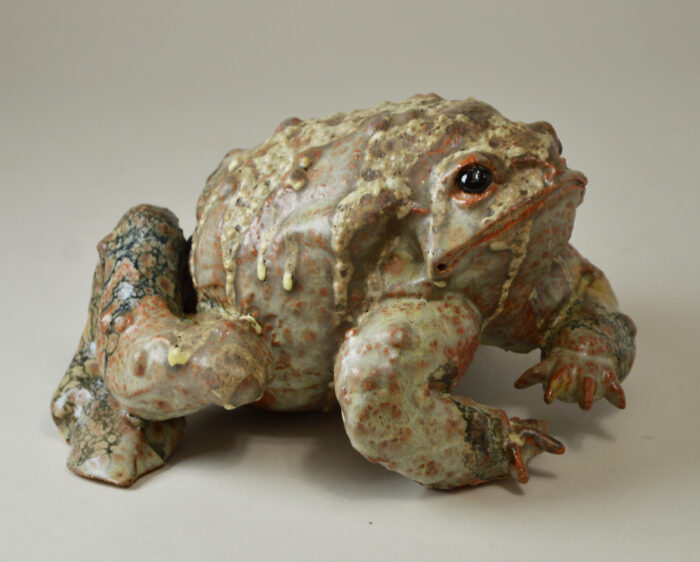 Crapaud #25-1 – Image 6