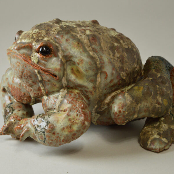 Crapaud #25-1
