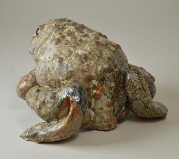 Crapaud #25-1 – Image 3
