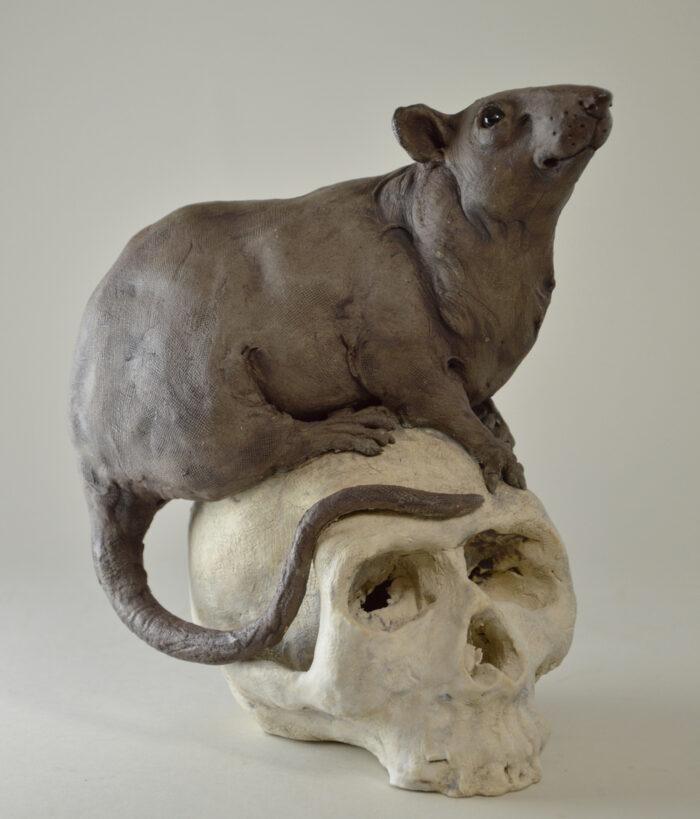 Rat sur vanité