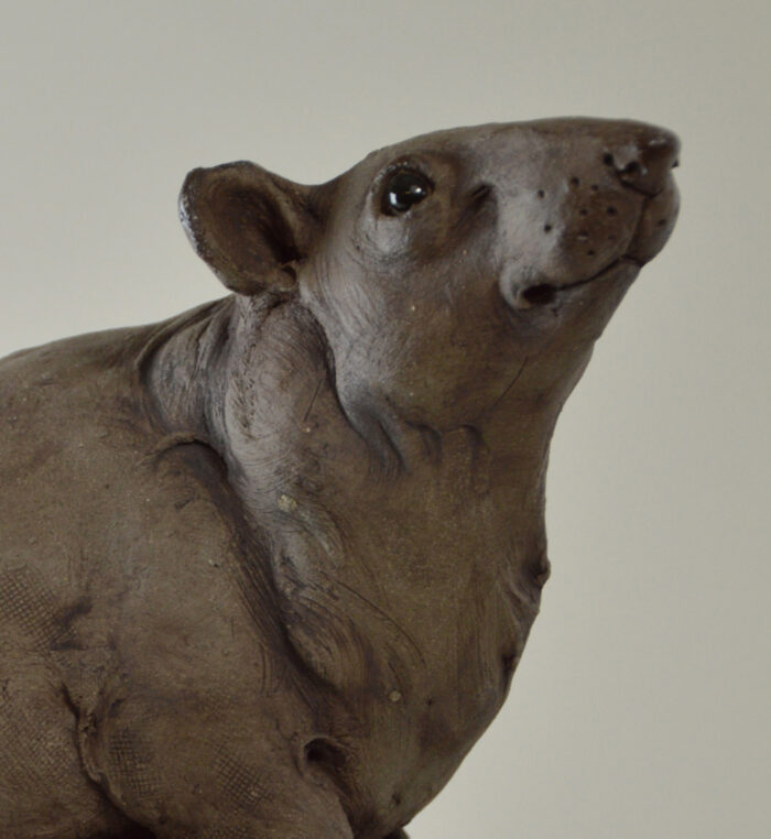 Rat sur vanité – Image 8