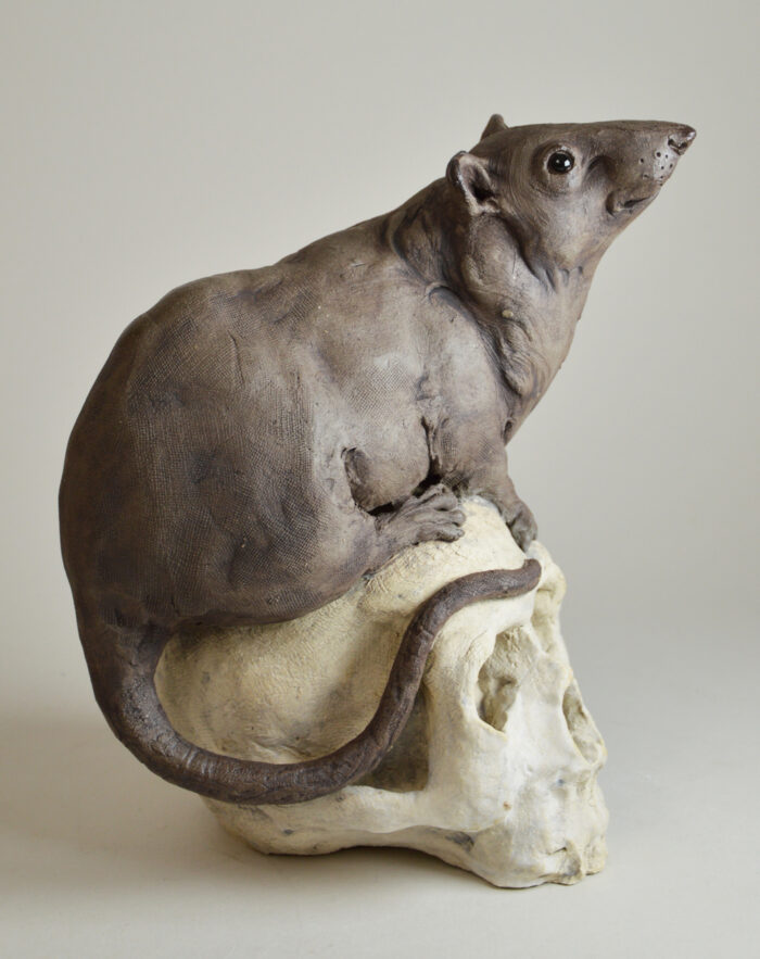 Rat sur vanité – Image 2