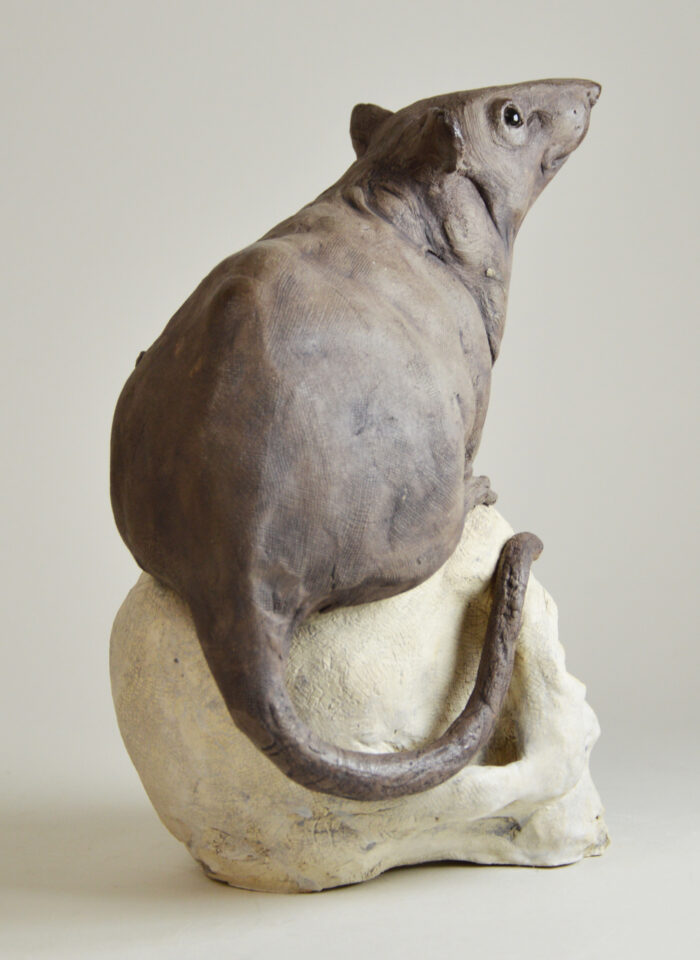 Rat sur vanité – Image 7