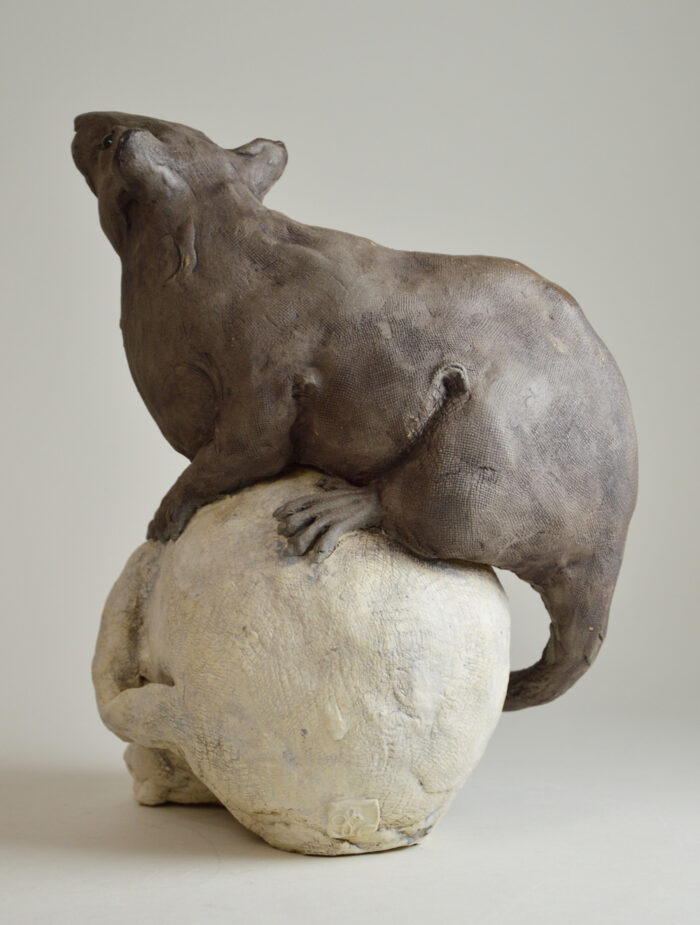 Rat sur vanité – Image 6