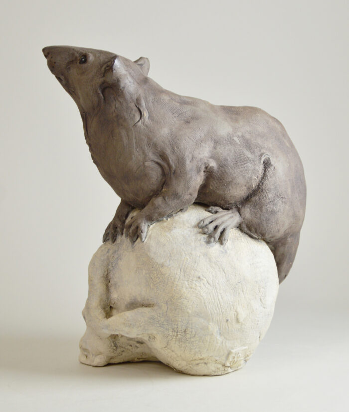 Rat sur vanité – Image 5