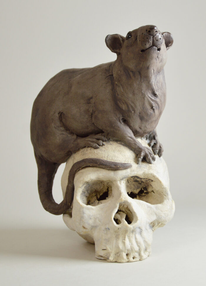 Rat sur vanité – Image 3