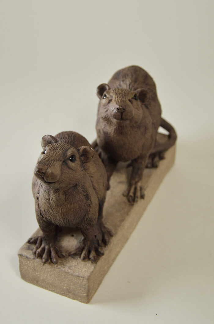 Duo de rats #25-1 – Image 3