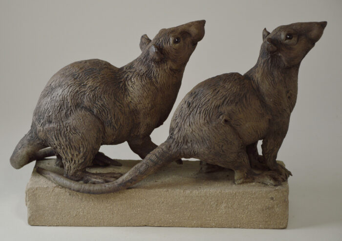 Duo de rats #25-1 – Image 5