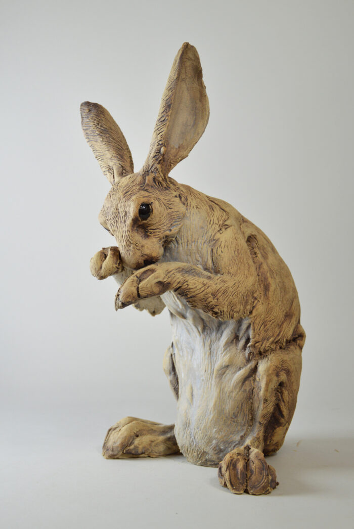 Lièvre #25-9 – Image 4