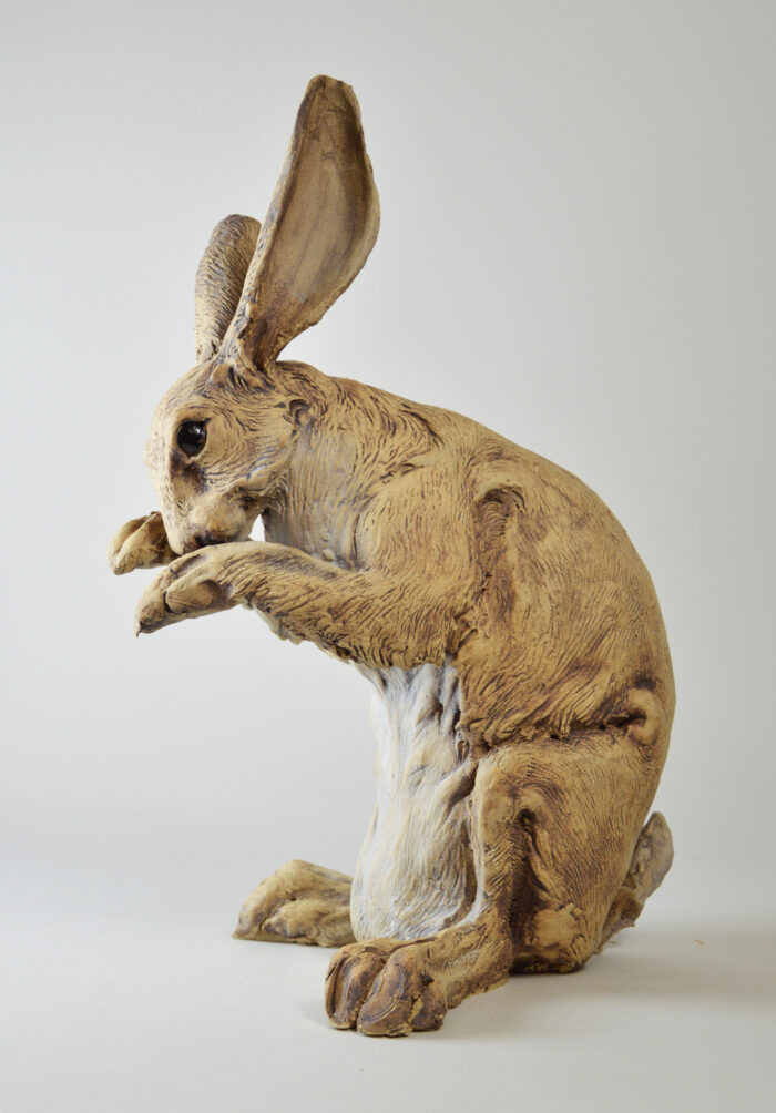 Lièvre #25-9 – Image 6