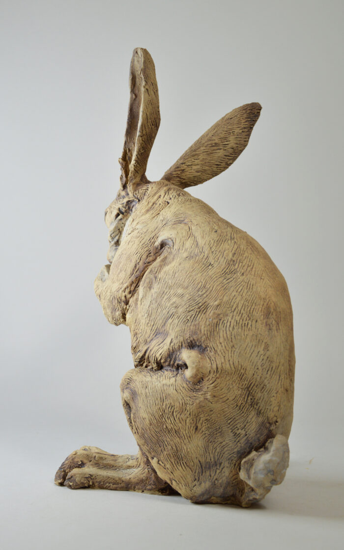 Lièvre #25-9 – Image 7