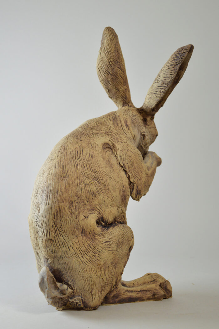 Lièvre #25-9 – Image 8