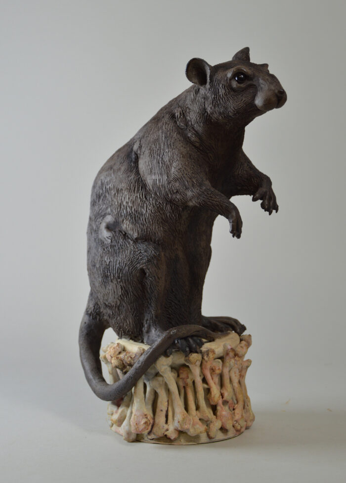 Rat #25-3 – Image 9