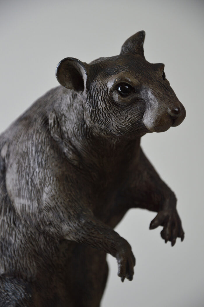 Rat #25-3