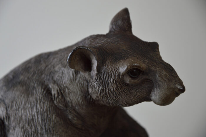 Rat #25-3 – Image 4