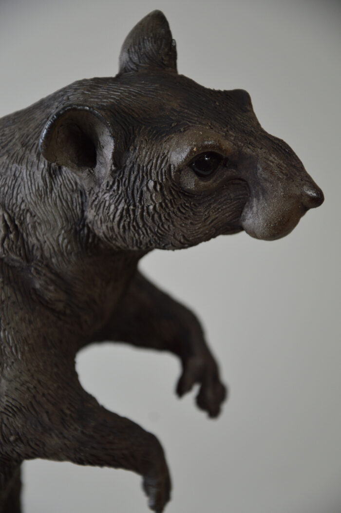 Rat #25-3 – Image 3