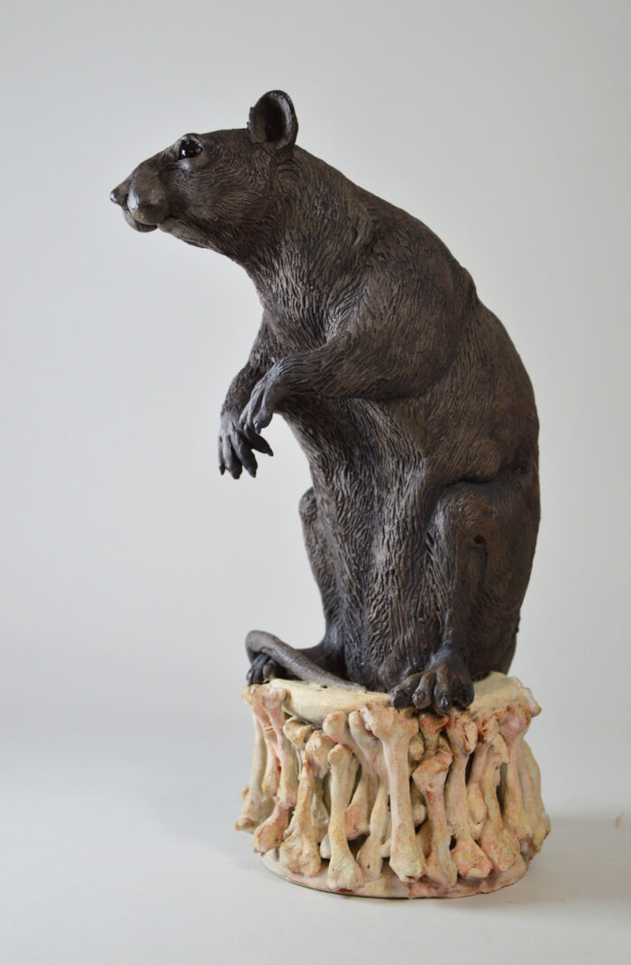 Rat #25-3 – Image 5